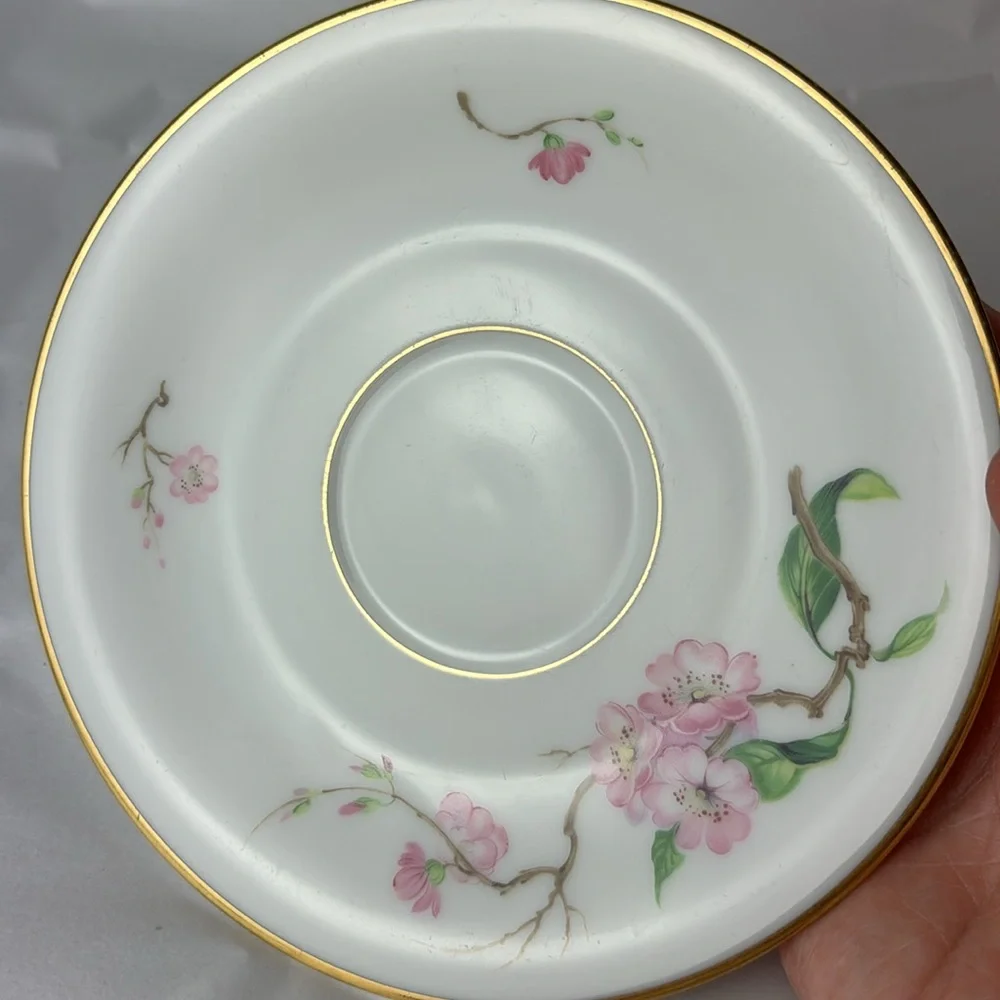 H & Co Selb Bavaria Germany Heinrich BLOSSOMTIME Pattern tea cup & saucer number